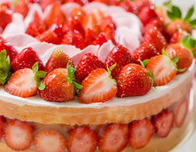 果糖、葡萄糖、蔗糖和淀粉在體內(nèi)代謝有何不同？